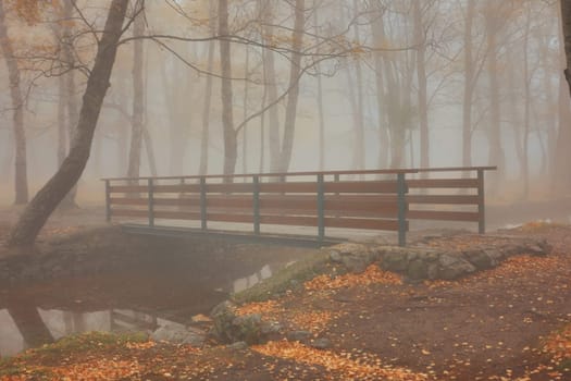 Autumun at Manteigas - Serra da Estrela - Portugal