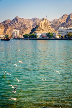 View of Mutrah Corniche from Sultan Qaboos Port in Muscat, Oman