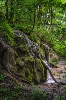 Closeup on green mossy hill with waterfalls and cascades of water in lush wetland of Plitvice Lakes National Park, UNESCO World Heritage in Croatia