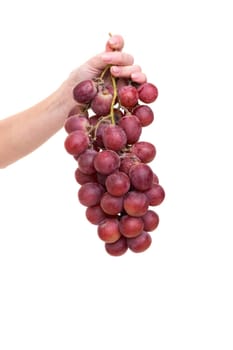 Young woman holding a bunch of fresh grapes, isolated over white background