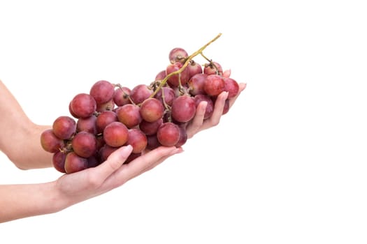 Young woman holding a bunch of fresh grapes, isolated over white background