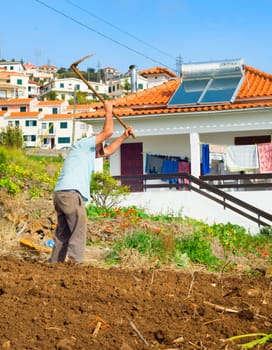 MADEIRA ISLAND, PORTUGAL - JANUARY 15, 2020: Man working on a field. Typical Madeira village architecture in the background.