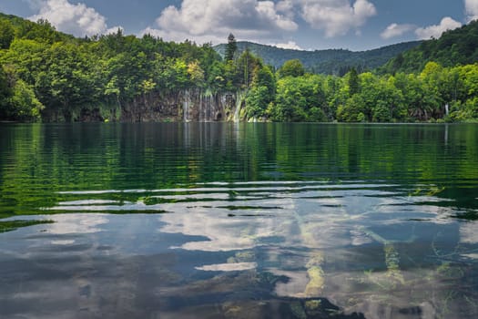 Submerged tree trunks and waterfalls with reflection in lake. Green lush forest, Plitvice Lakes National Park UNESCO World Heritage in Croatia