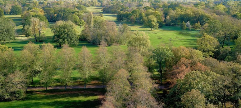 Aerial view of Rotehorn city park in Magdeburg in Summer
