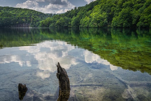 Tree trunks and clouds reflected in lake with waterfall in background. Green lush forest, Plitvice Lakes National Park UNESCO World Heritage, Croatia