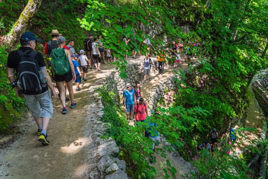 Plitvicka Jezera, Croatia, July 2019 Crowds of tourists on winding footpath in green lush forest of Plitvice Lakes National Park UNESCO World Heritage