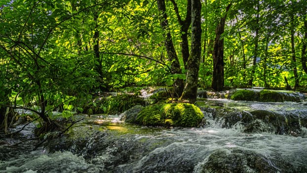 Selective focus on rock covered by moss and illuminated by sunlight, in a stream. Plitvice Lakes, National Park UNESCO World Heritage, Croatia