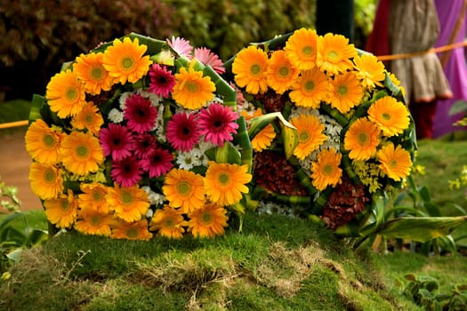 Two neat bouquets of pot marigold-Calendula officinalis-flowers displayed at Republic Day Flower Show in Lalbagh, Bengaluru, Karnataka, India, Asia