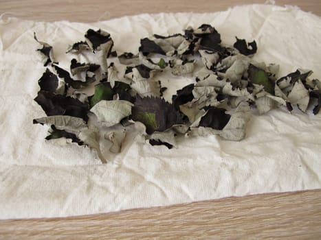 Dried fermented blackberry leaves for homemade black tea