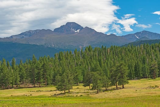 Longs Peak Across an Alpine Meadow in Rocky Mountain National Park in Colorado