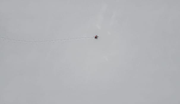 Aerial drone shot of lone snow school runner in white empty winter landscape