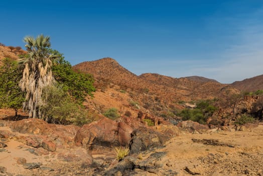 Landscape on the banks of the Kunene River, the border river between Namibia and Angola