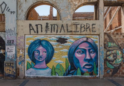 Graffiti street art on the walls and buildings of Valparaiso, Chile