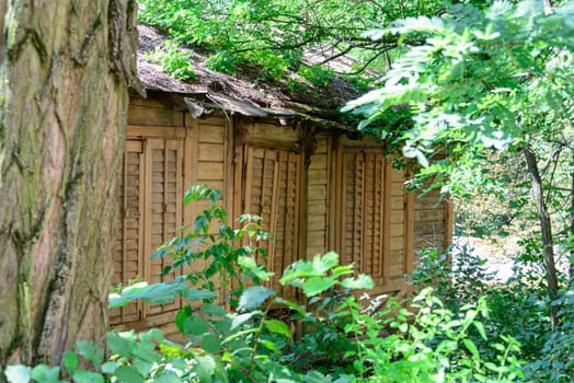 Old and very ruined buildings outside Kharkiv, in an Ukrainian forest
