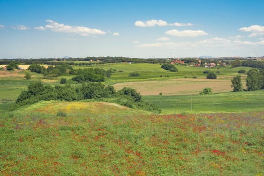 Italian countryside Green field just out of Rome