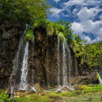 Tree trunk in front of tall waterfalls illuminated by sunlight in Plitvice Lakes National Park UNESCO World Heritage, Croatia. Square image