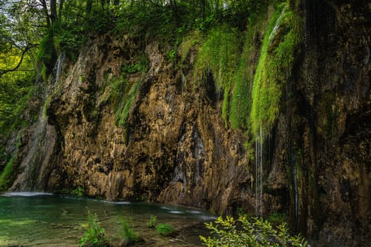 Streaks of water coming down from lichens hooked at tall cliff or waterfall in Plitvice Lakes National Park UNESCO World Heritage, Croatia
