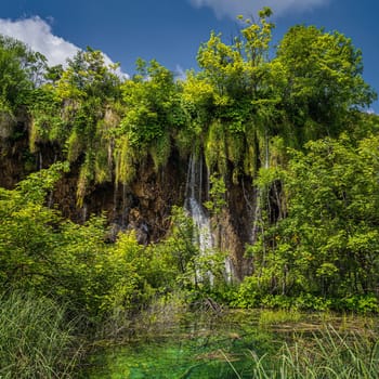 Waterfall illuminated by sunlight seen through trees with little pond in green lush forest, Plitvice Lakes National Park UNESCO World Heritage Croatia