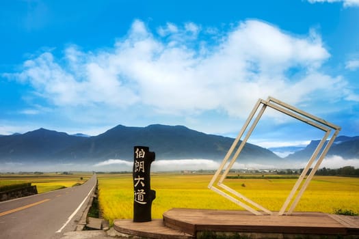 The bishop wood on Brown Avenue, Chishang, Taitung, Taiwan