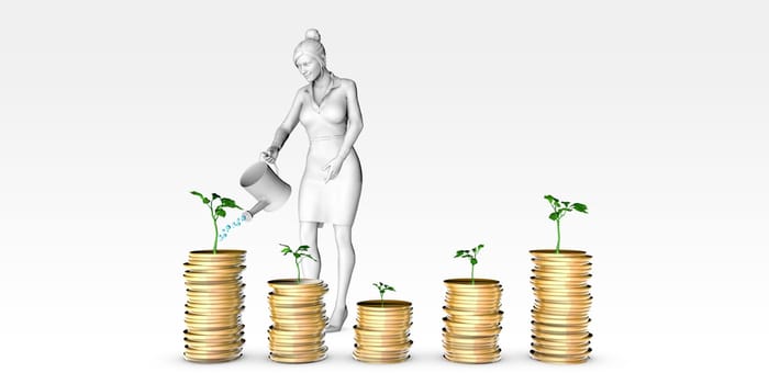 Wealth Management Services and Financial Solutions as Concept