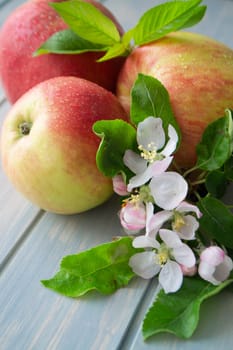 Three fresh apples with leaf and flowers on a light blue background. Vertical image