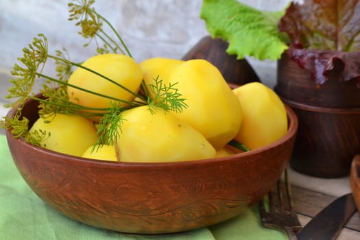 yellow potatoes fried in a pan with dill, close up in bowl