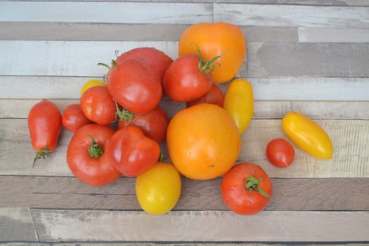 Tomato mixed variety colorful red green yellow on rustic background top view
