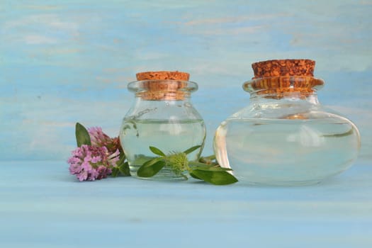 clover oil tincture in little bottles on the blue table and wild flowers