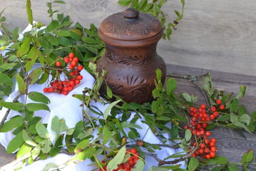 Traditional russian milk with rowan berries in summer day. Rustic style life