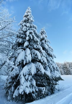snow in the Rhön