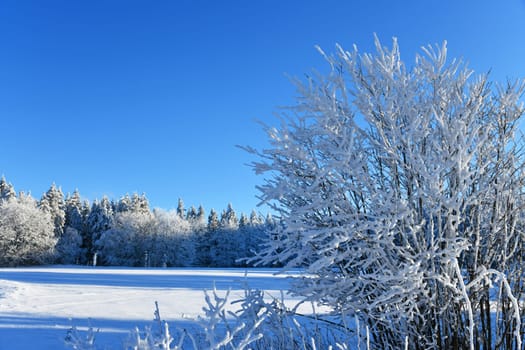 snow in the Rhön