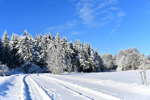 snow in the Rhön