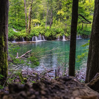 Couple of tourists sightseeing beautiful waterfalls, lakes and green lush forest in Plitvice Lakes National Park UNESCO World Heritage, Croatia