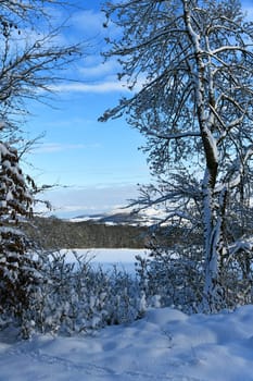 snow in the Rhön