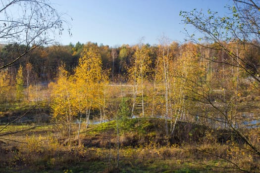 Landscape in the National Park Maasduinen in the Netherlands