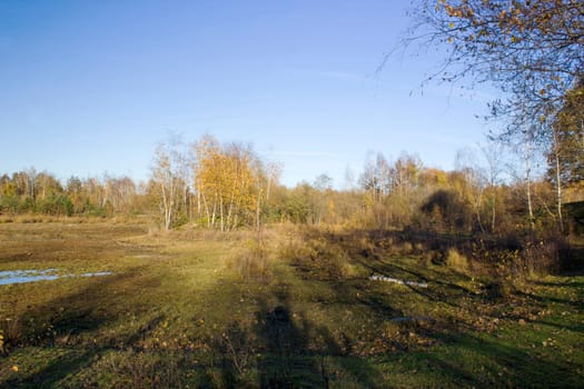 Landscape in the National Park Maasduinen in the Netherlands