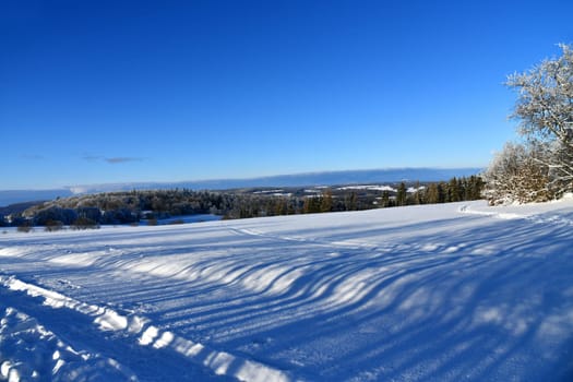 winter landscape