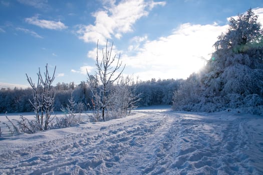 winter landscape