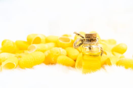 Silkworm cocoon with spa treatment oil on white background