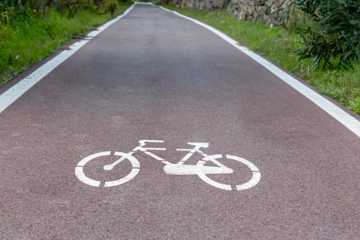 Cycle path with road signs in the woods. Foreground and depth of the horizon.