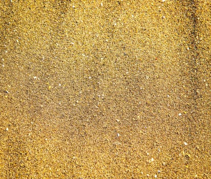 The Yellow sand closeup as texture.Selective focus