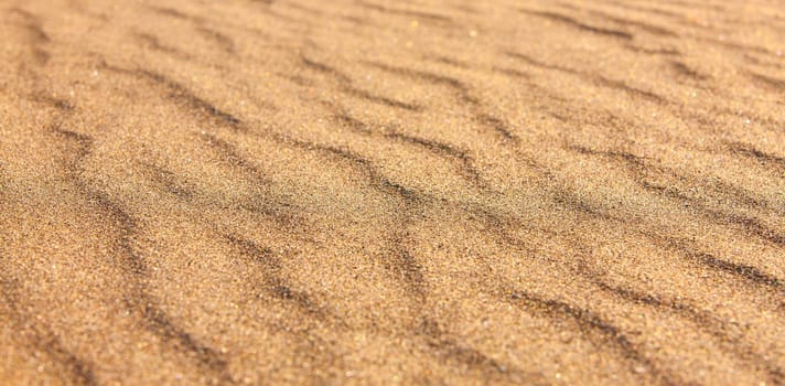 The Yellow sand closeup as texture.Selective focus