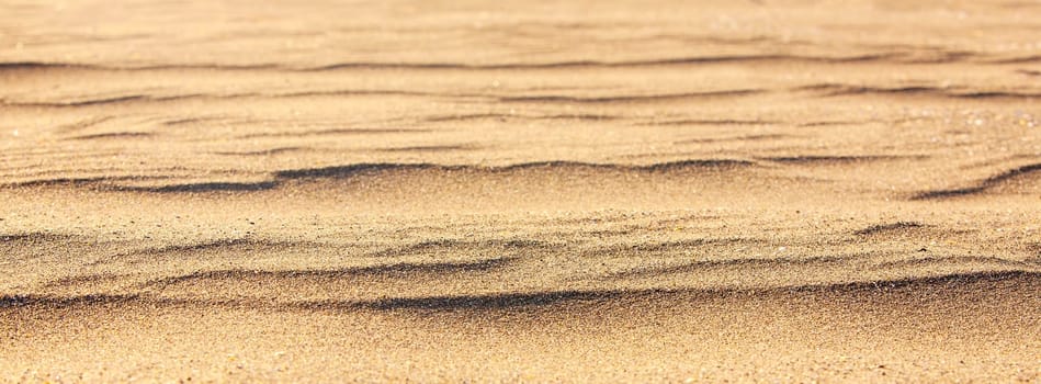 The Yellow sand closeup as texture.Selective focus