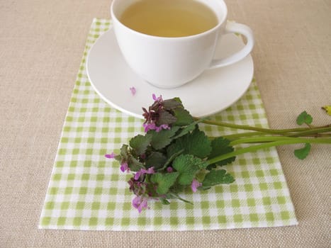Herbal tea with purple dead nettle, Lamium purpureum