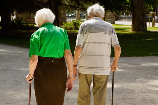 Rear view of a senior couple walking in the park