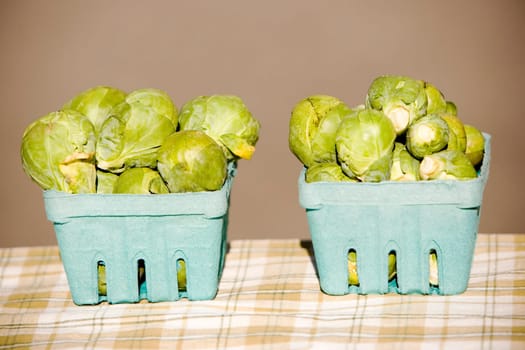 Close-up of two heaps of cabbage in two crates