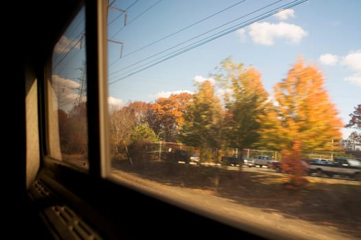 Trees viewed through the window of a train