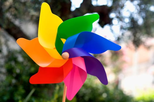 Close-up of a pinwheel