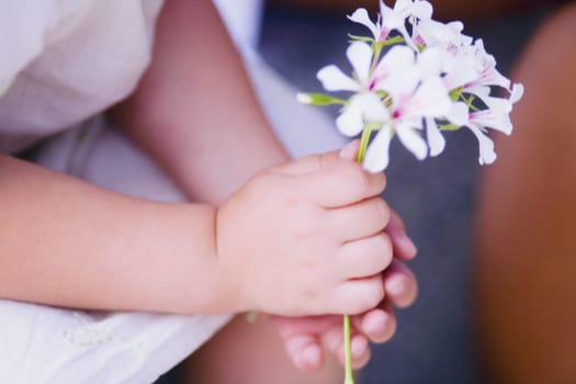 Close-up of a girl's hand holding flowers