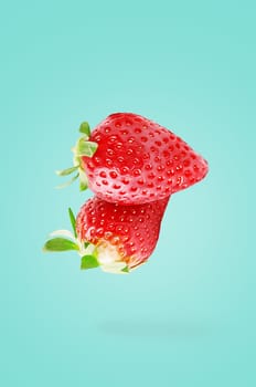 Minimal fruit concept. Two whole strawberry fruits on bright blue background with shadow. Design element. Full depth of field.